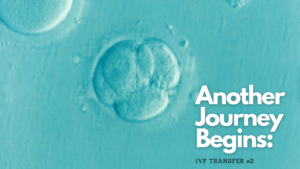 Read more about the article Another Journey Begins: IVF Transfer #2